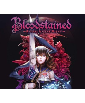 Bloodstained: Ritual of the Night FR Steam Key 